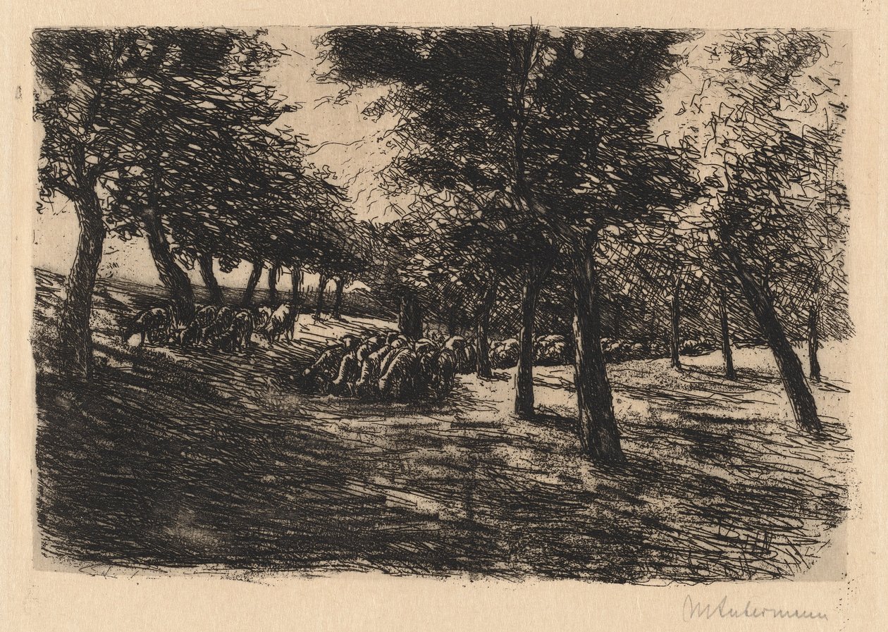 Troupeau de moutons sous les arbres, 1891 - Max Liebermann