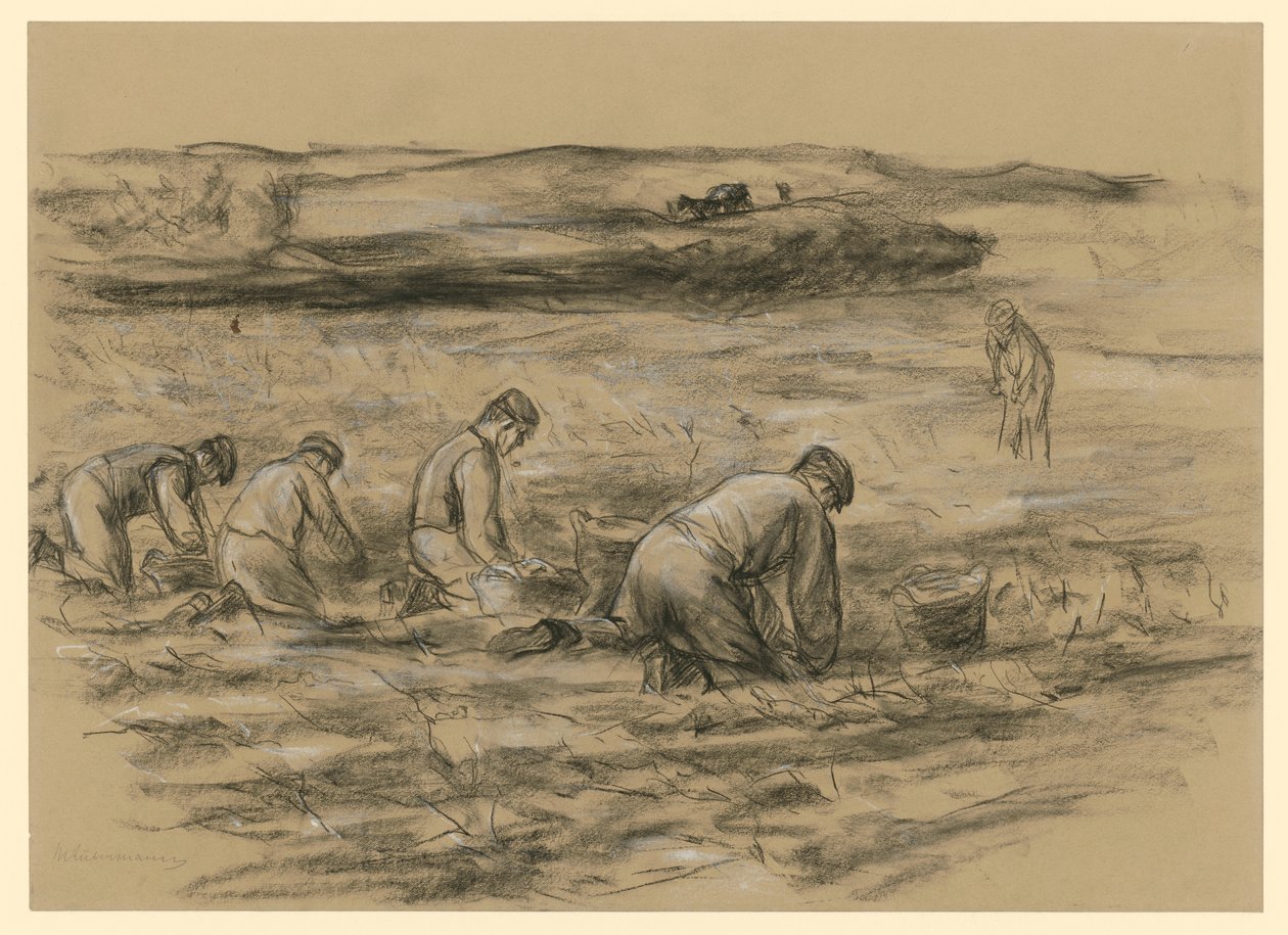 Machine à arracher les pommes de terre à Zandvoort - Max Liebermann