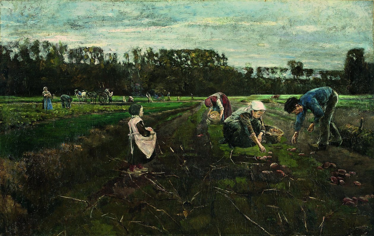 Récolte de pommes de terre - Max Liebermann