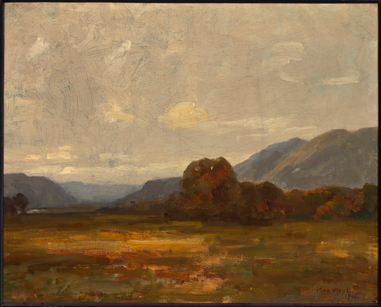 Paysage - Max Weyl
