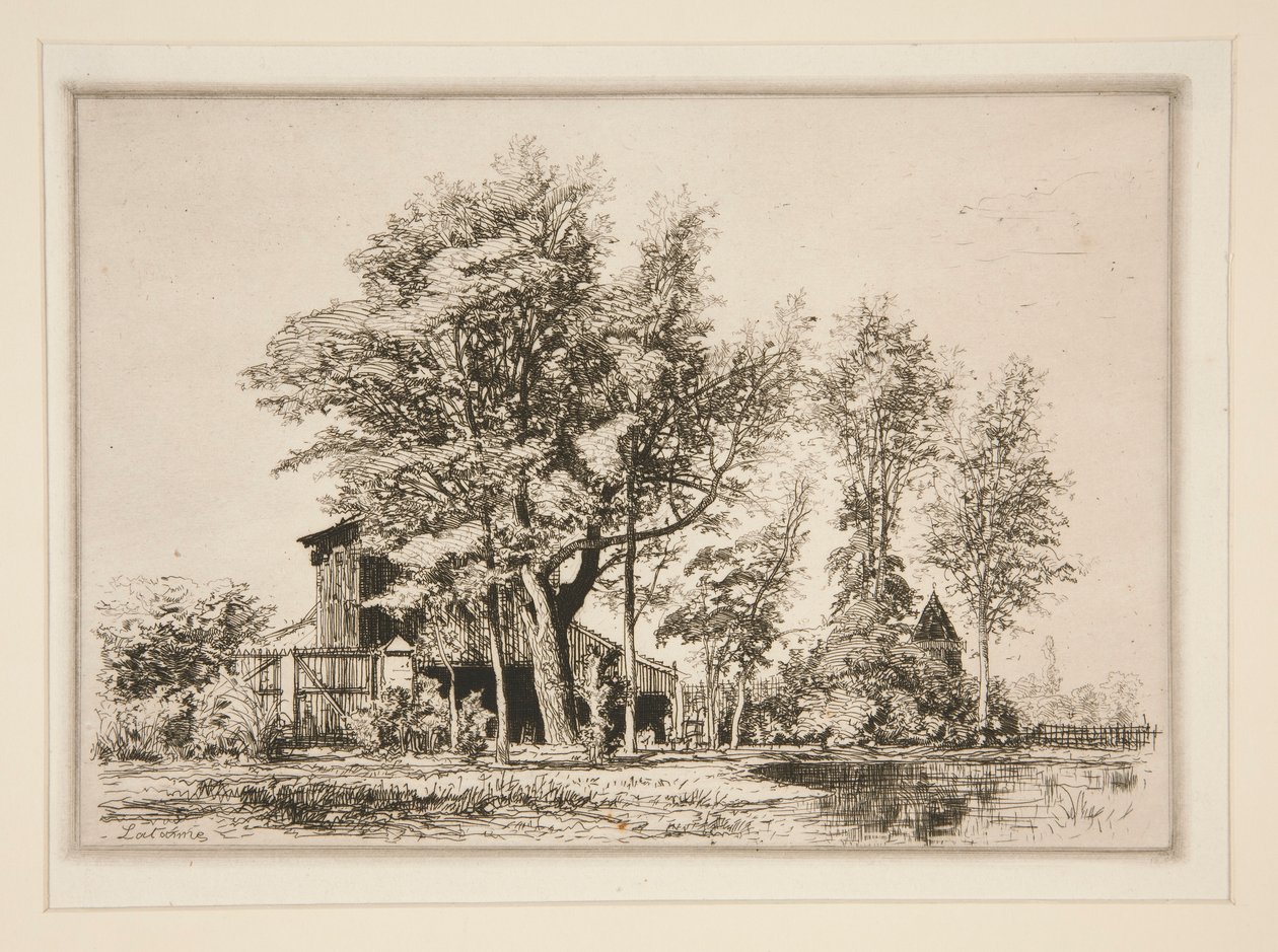 Acacias - Maxime Lalanne