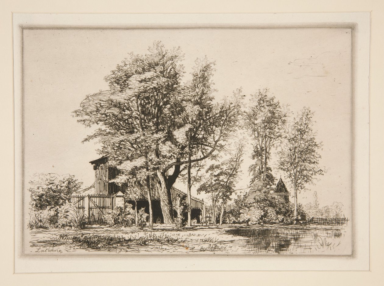 Acacias - Maxime Lalanne