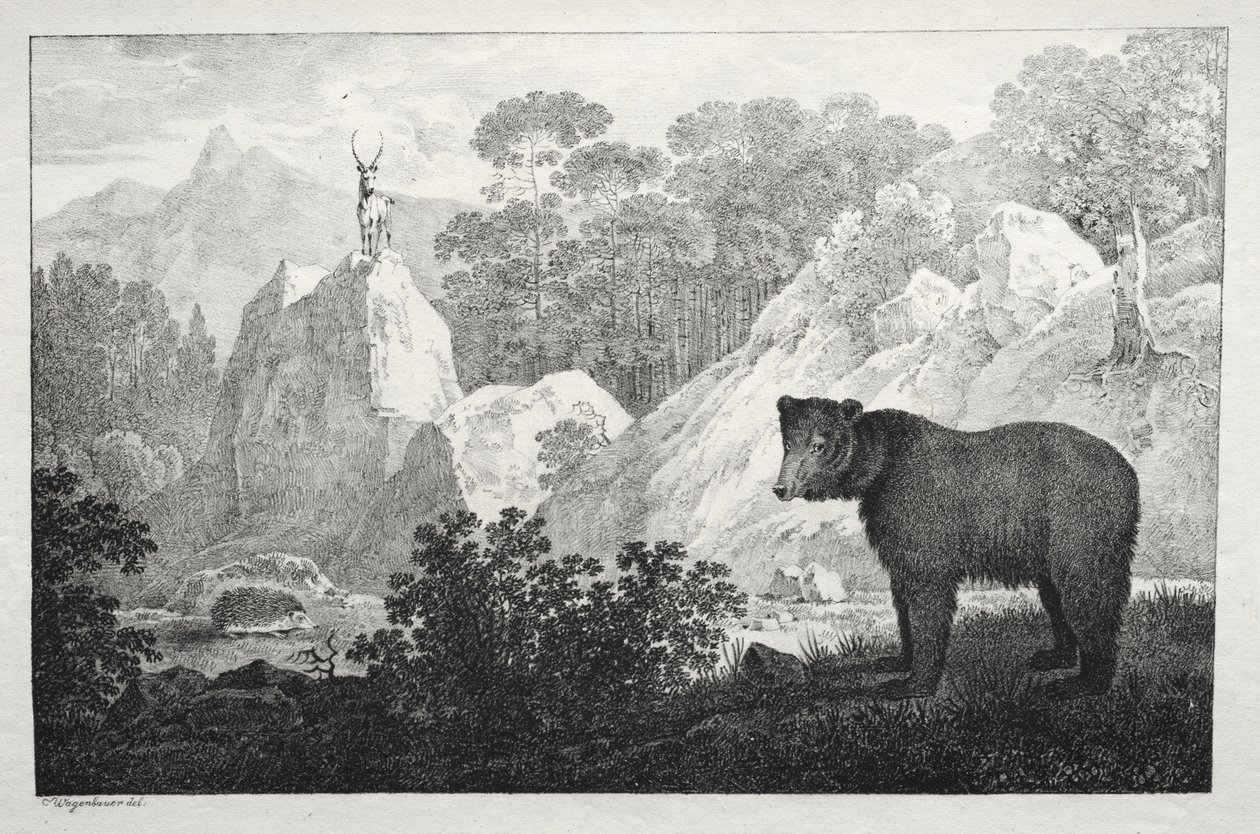 Paysage Montagneux avec Ours au Premier Plan - Maximilian Josef Wagenbauer