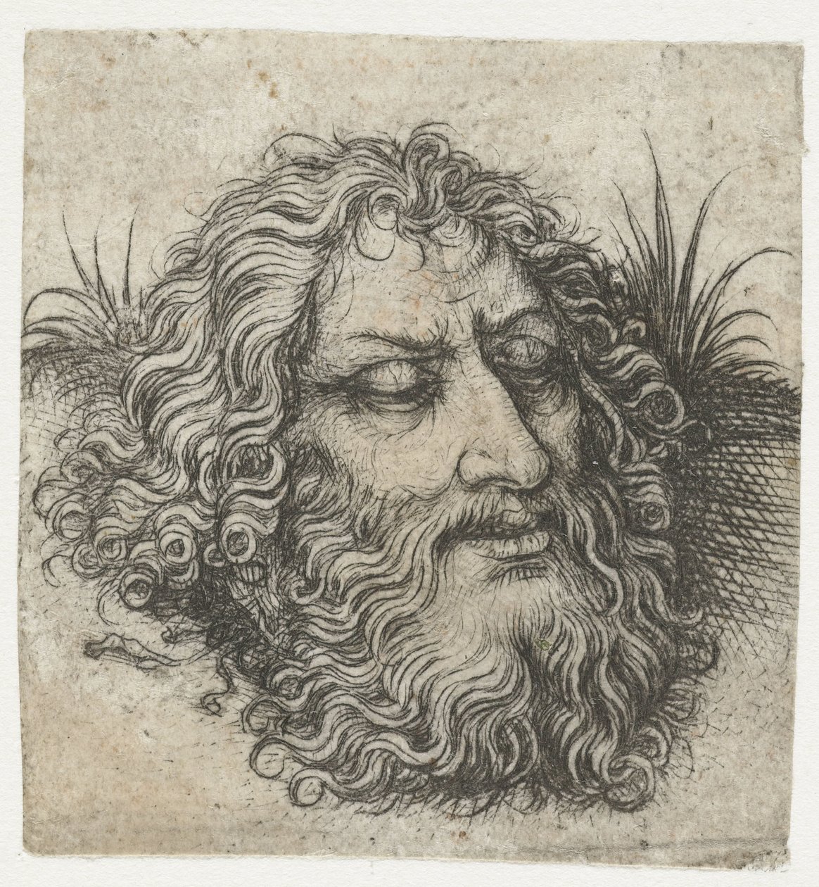 La tête de Jean-Baptiste ou de Goliath - Meester van het Amsterdamse Kabinet