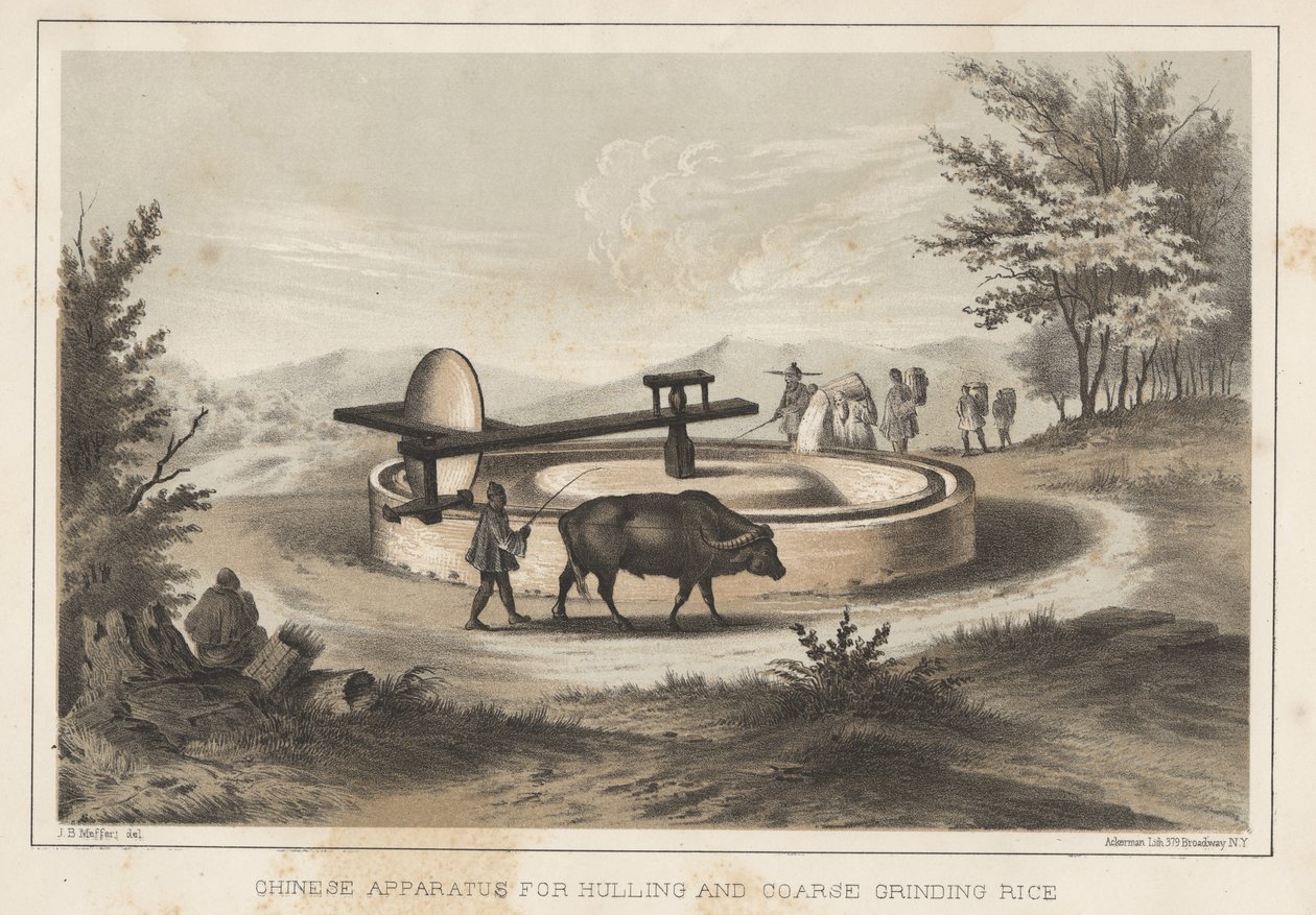 Appareil chinois pour décortiquer et broyer grossièrement le riz, 1855 - Meffert
