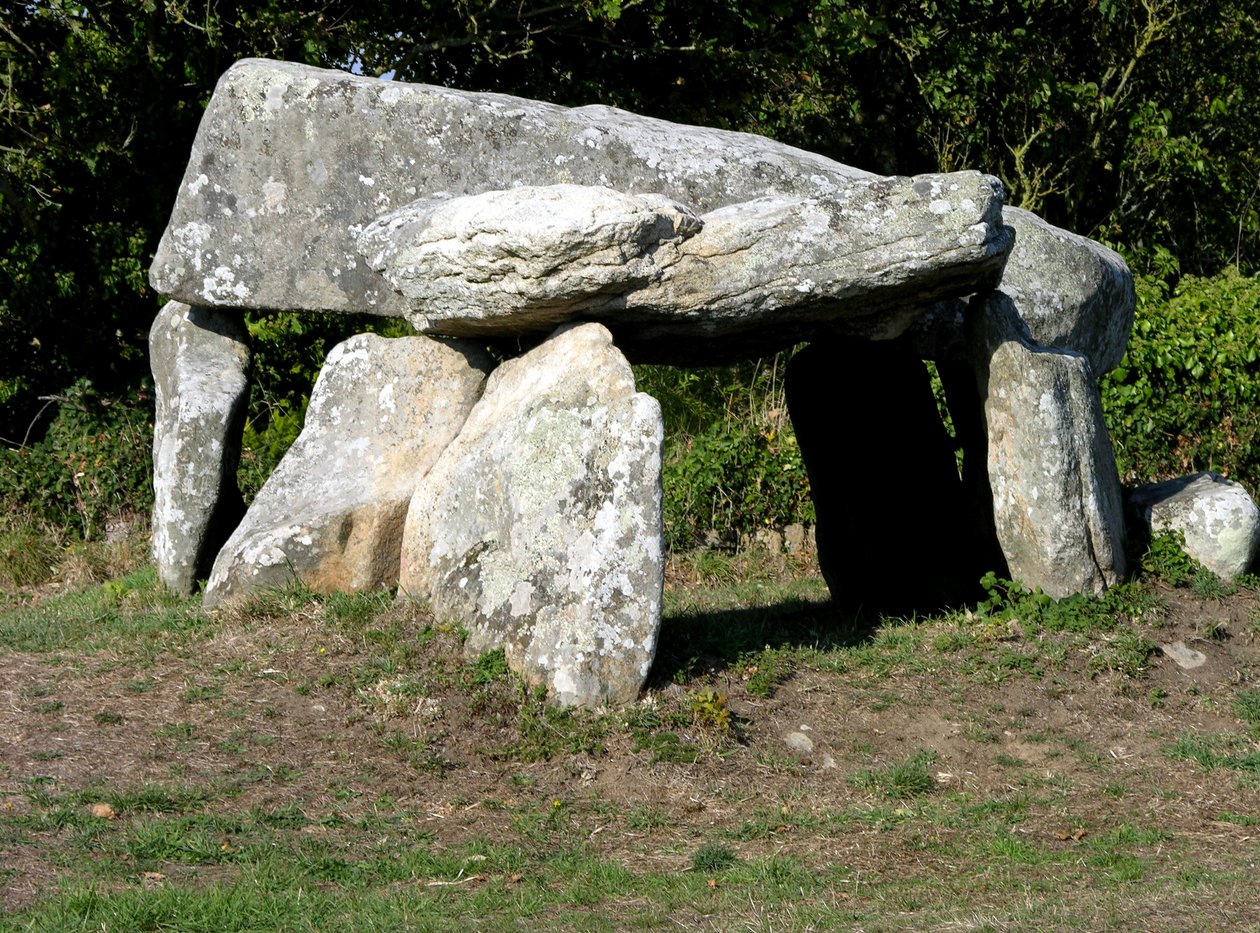Petit dolmen - Megalithic