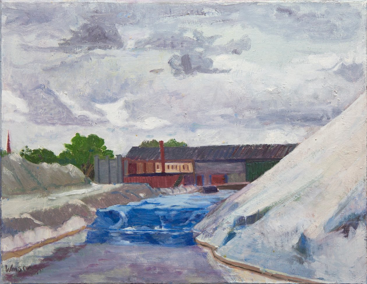 Barrage de sel sur le Cal Sag, 2014 (huile sur toile) - Megan Williamson