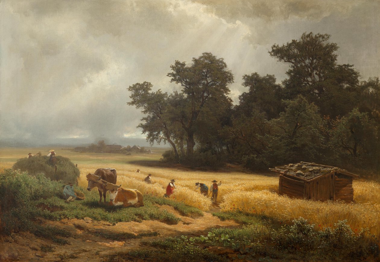 Paysage d