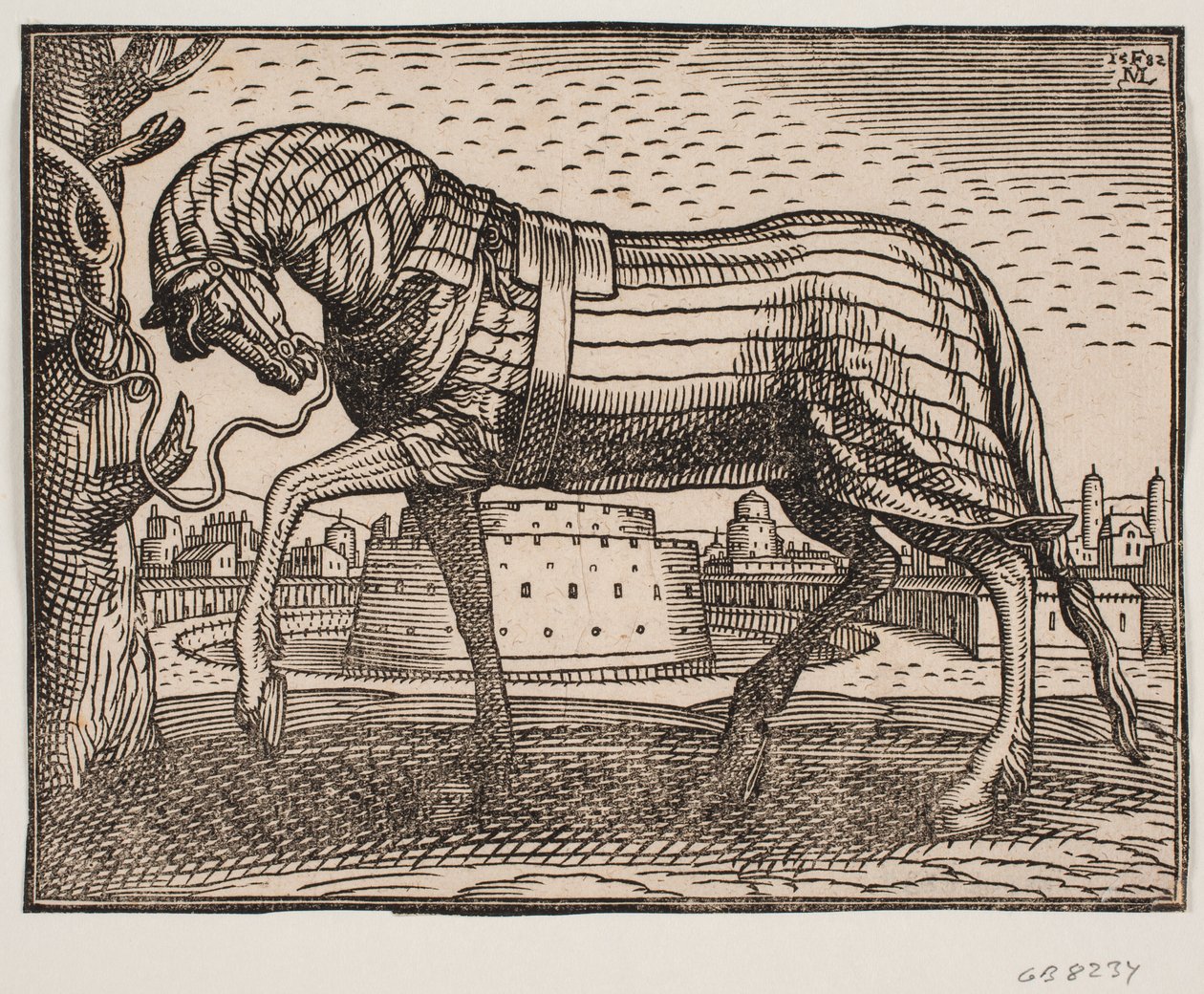 Cheval couvert d