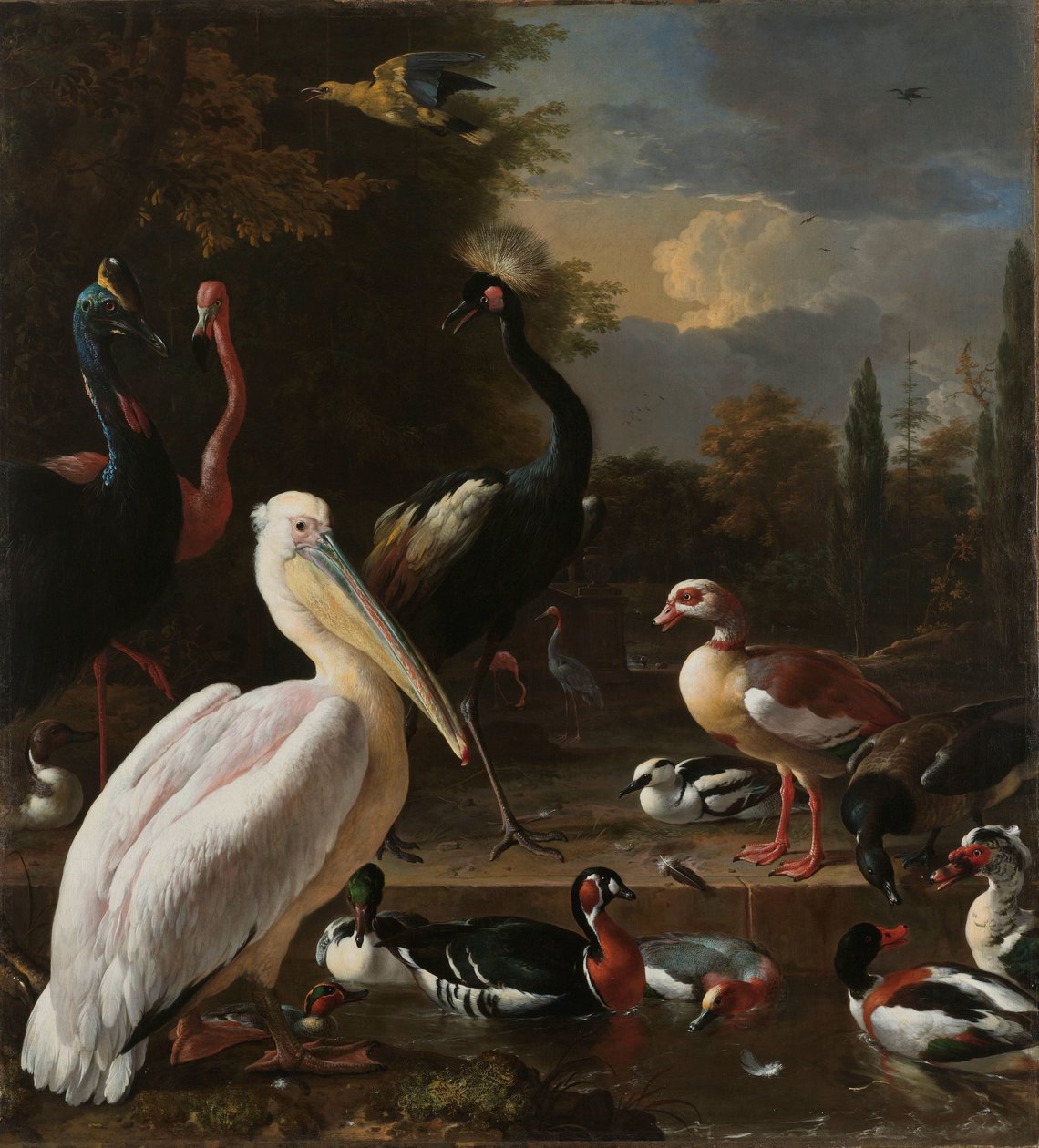 Un pélican et d