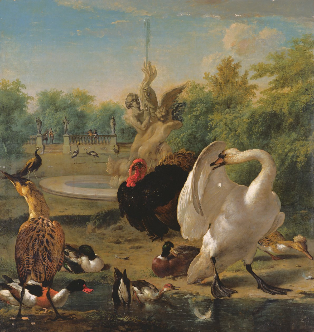 Un parc avec cygne et autres oiseaux - Melchior de Hondecoeter