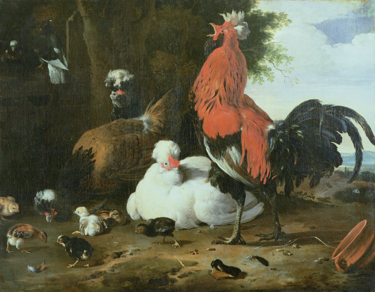 Volaille de basse-cour avec pigeons - Melchior de Hondecoeter