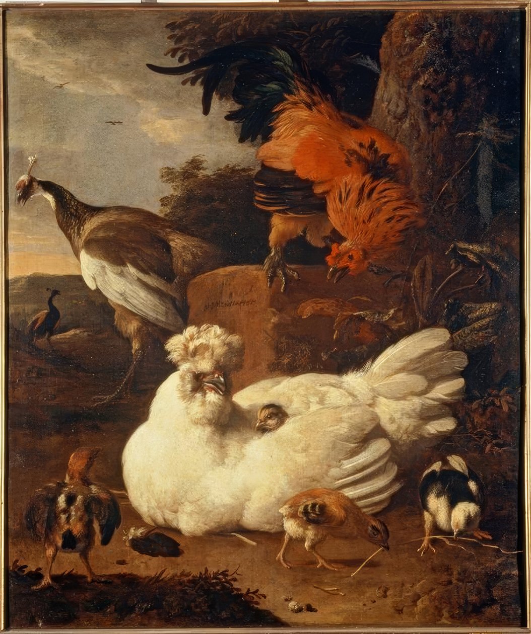 M. de Hondecoeter, Poule avec poussins - Melchior de Hondecoeter