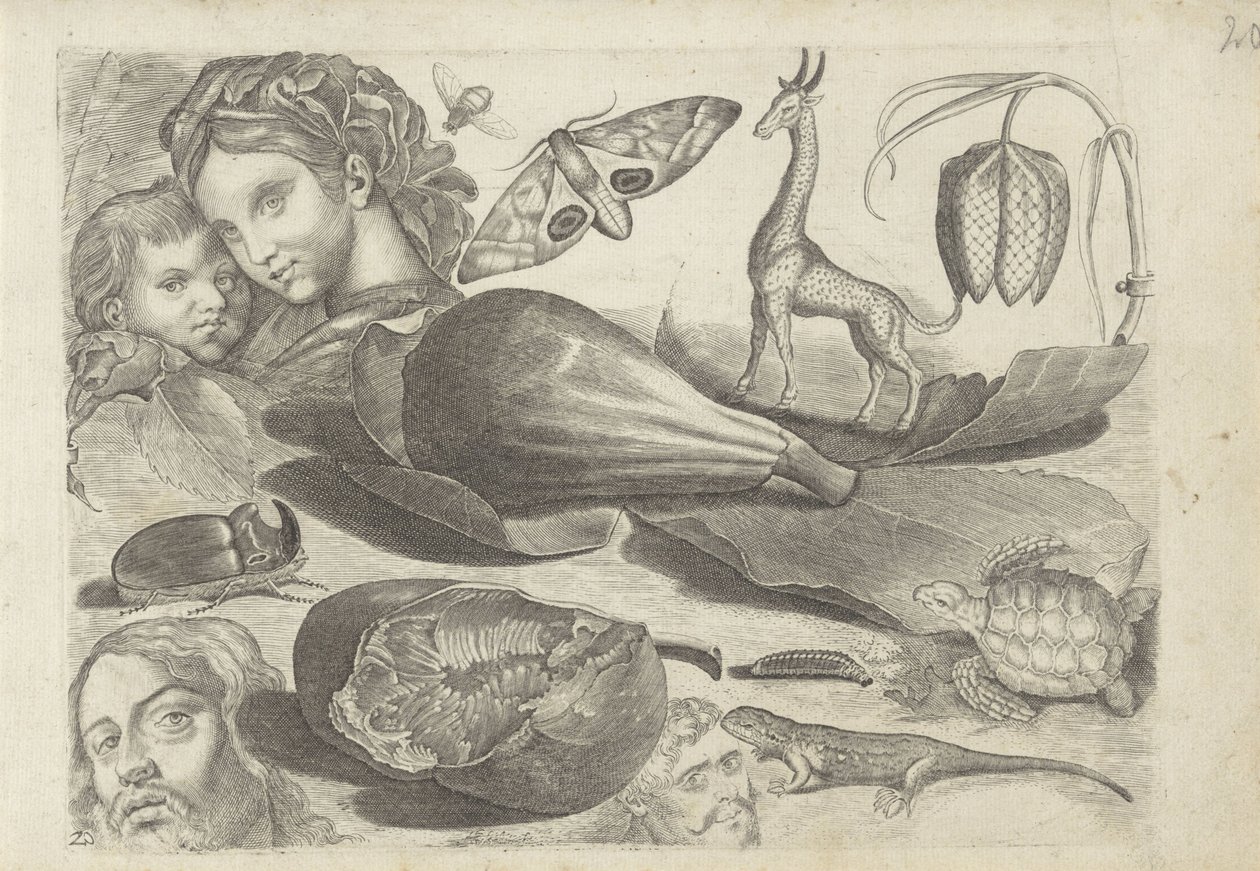 Feuille d