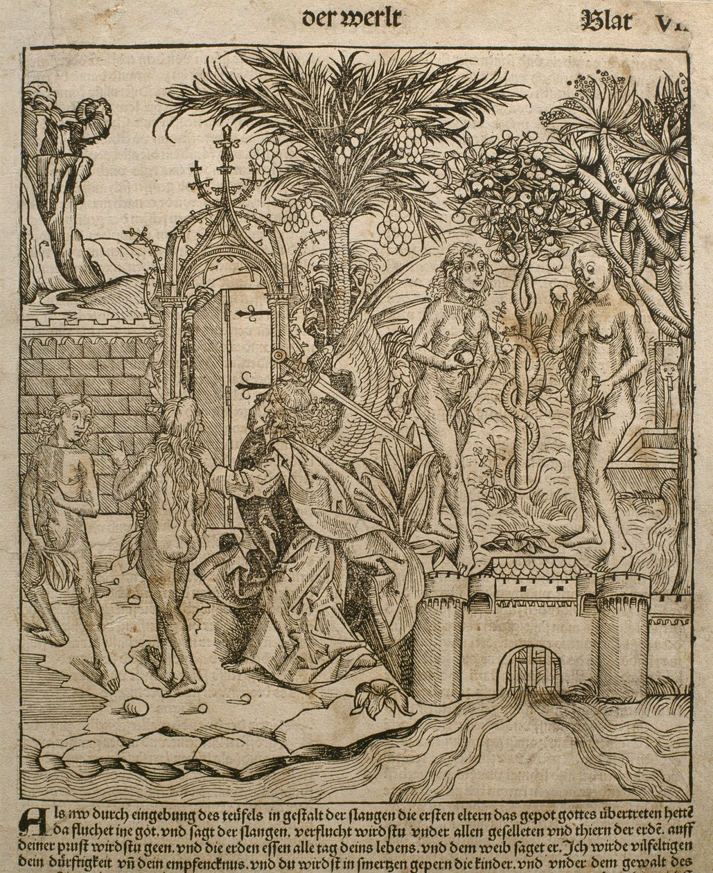 Adam et Ève, illustration du 