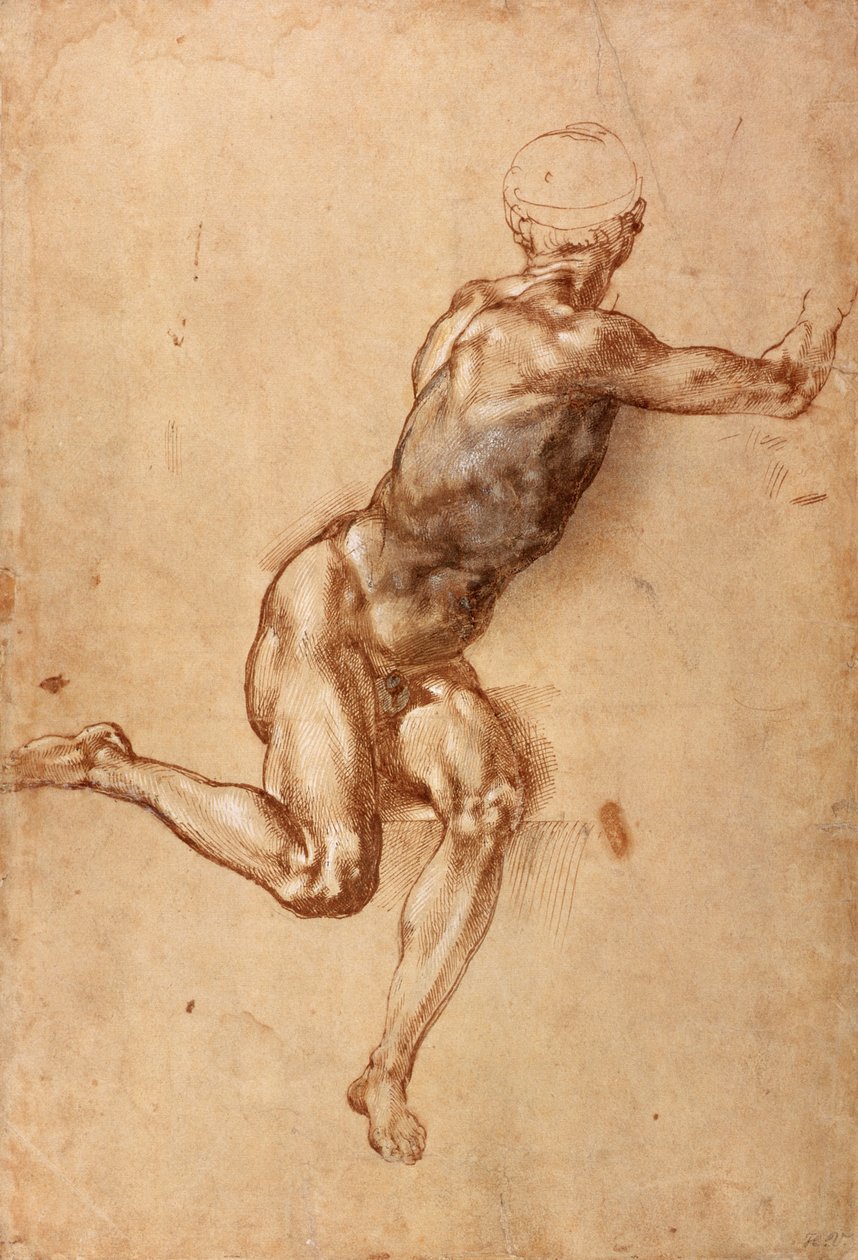 Un homme nu assis se tordant - Michelangelo Buonarroti