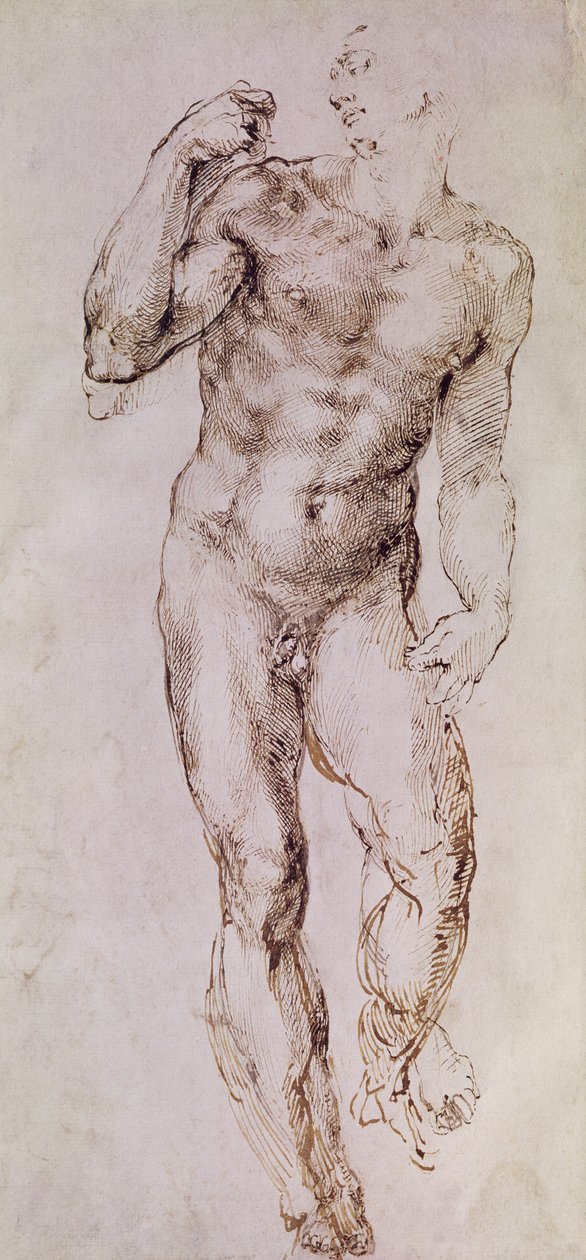 Esquisse de David avec sa fronde, 1503-4 - Michelangelo Buonarroti