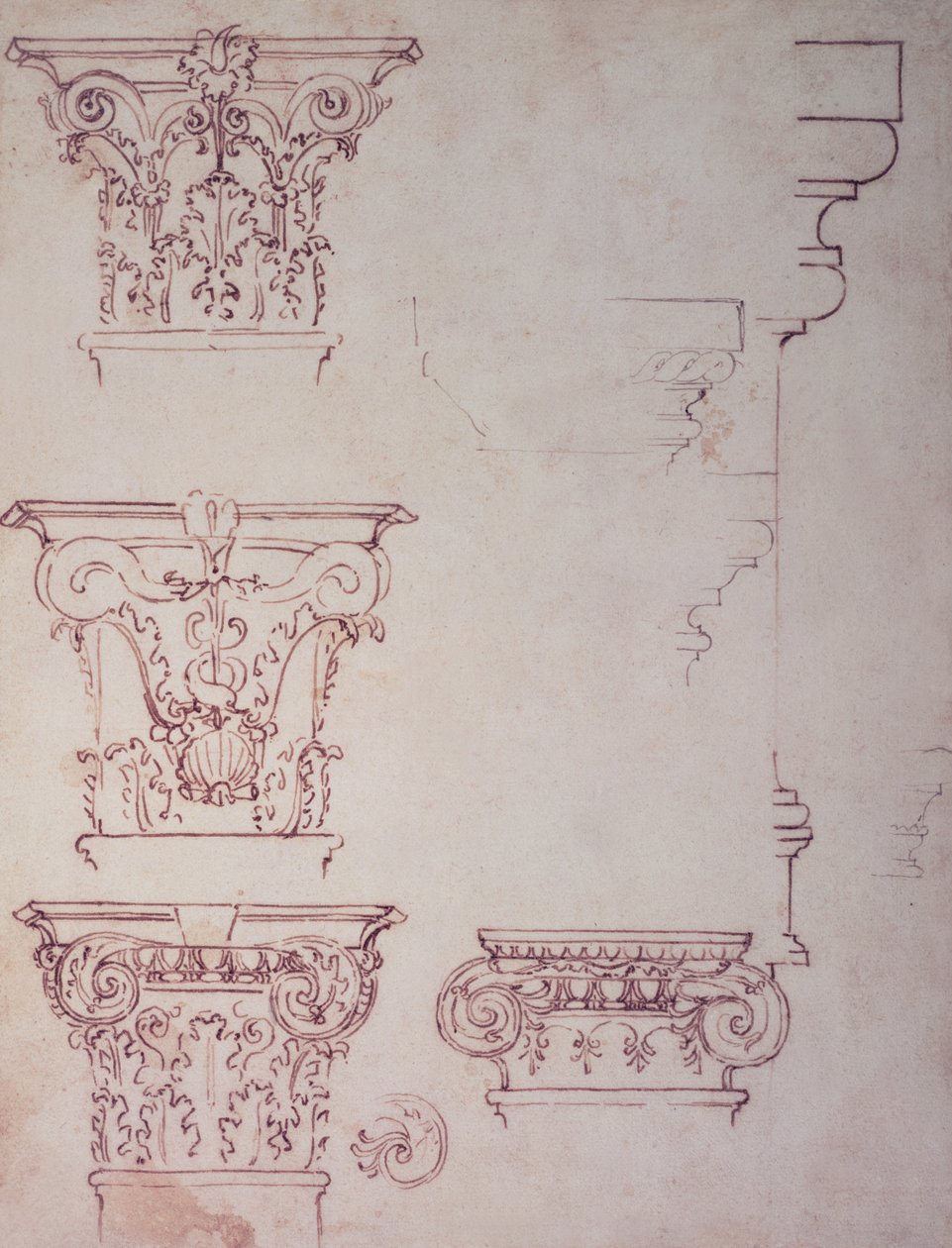 Études pour un Chapiteau - Michelangelo Buonarroti