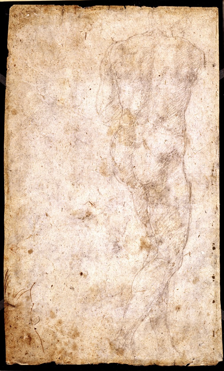 Étude d
