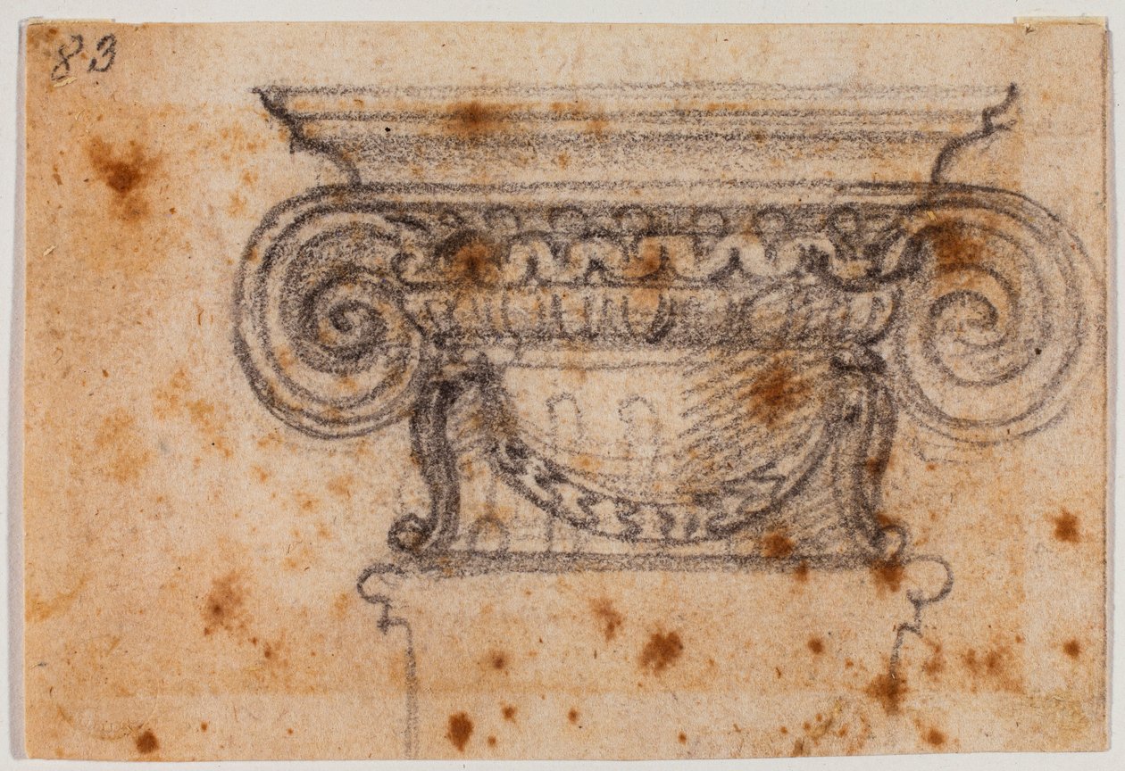 Étude de chapiteau ionique - Michelangelo Buonarroti