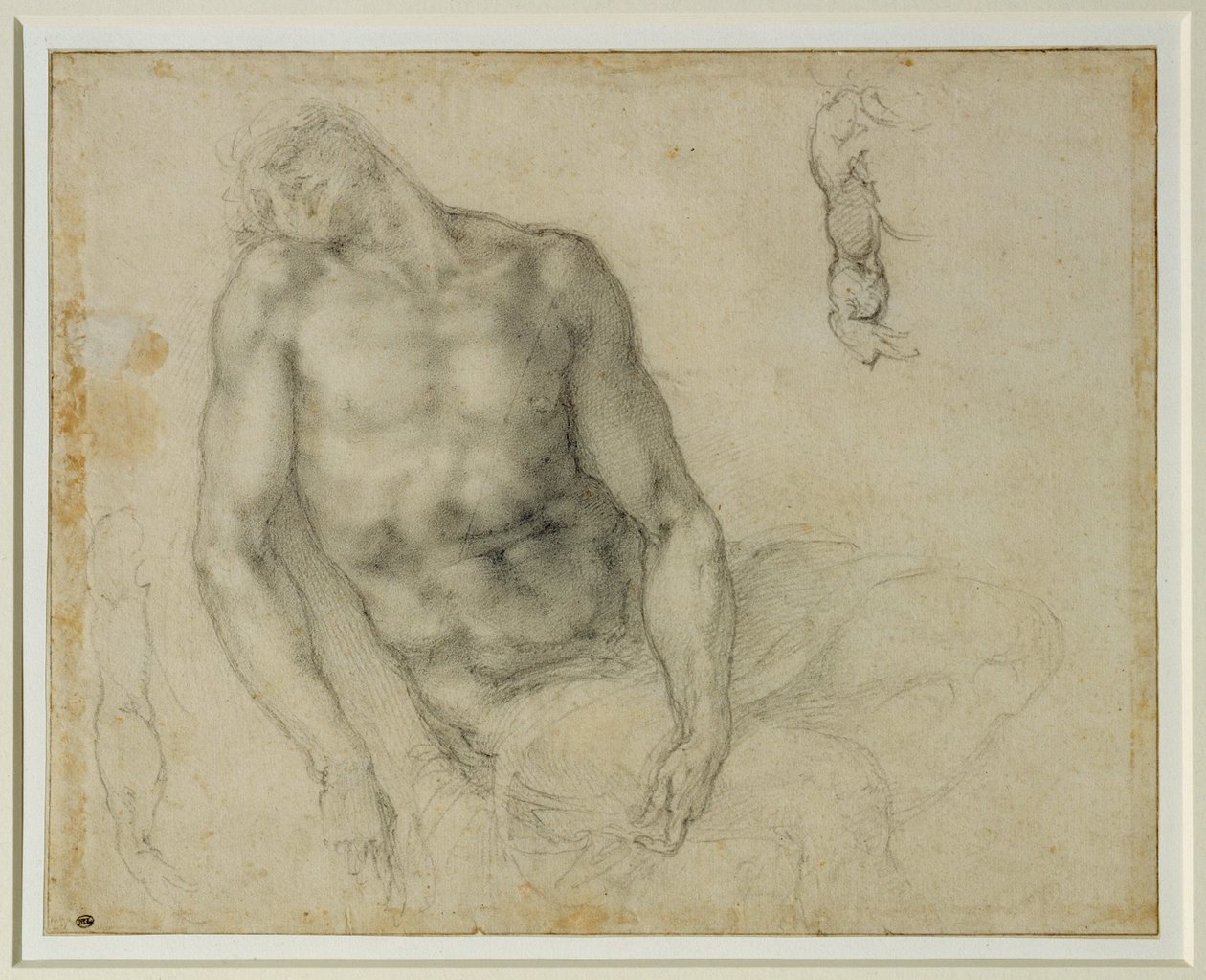 Le Christ mort et deux reprises du bras droit … - Michelangelo Buonarroti