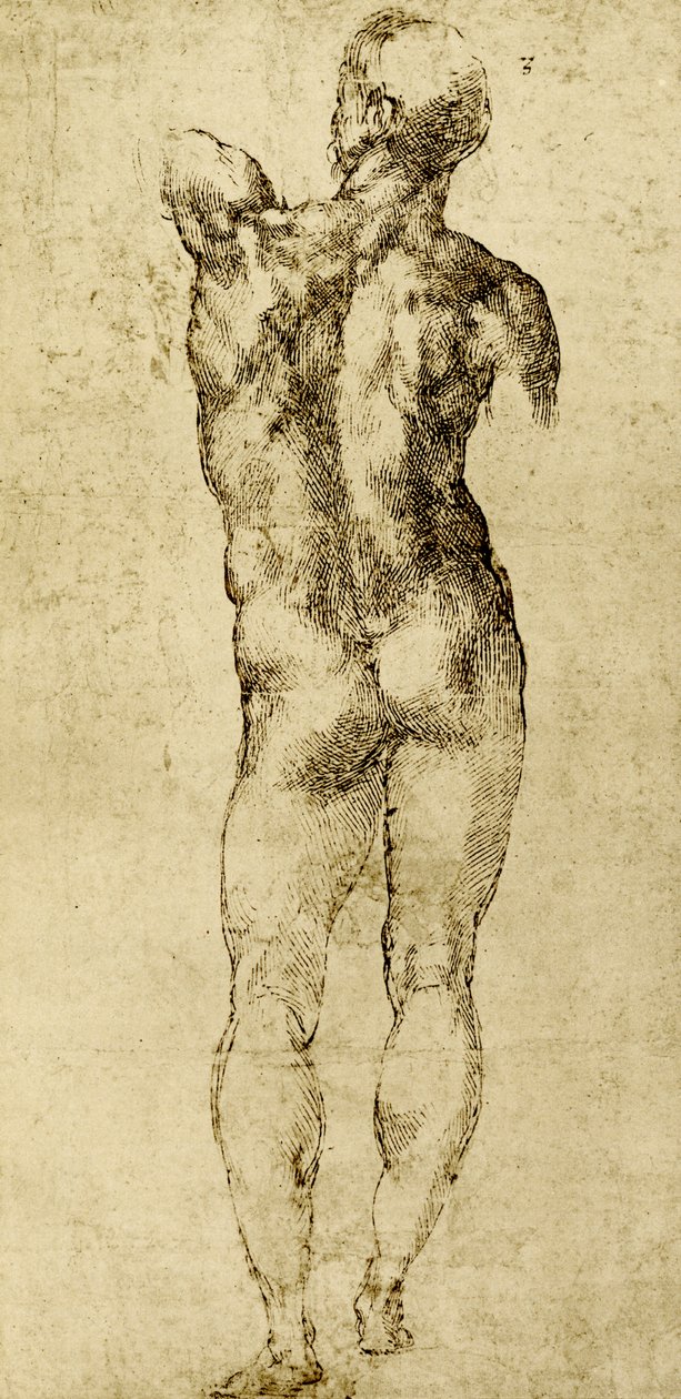 Nu masculin - Michelangelo Buonarroti