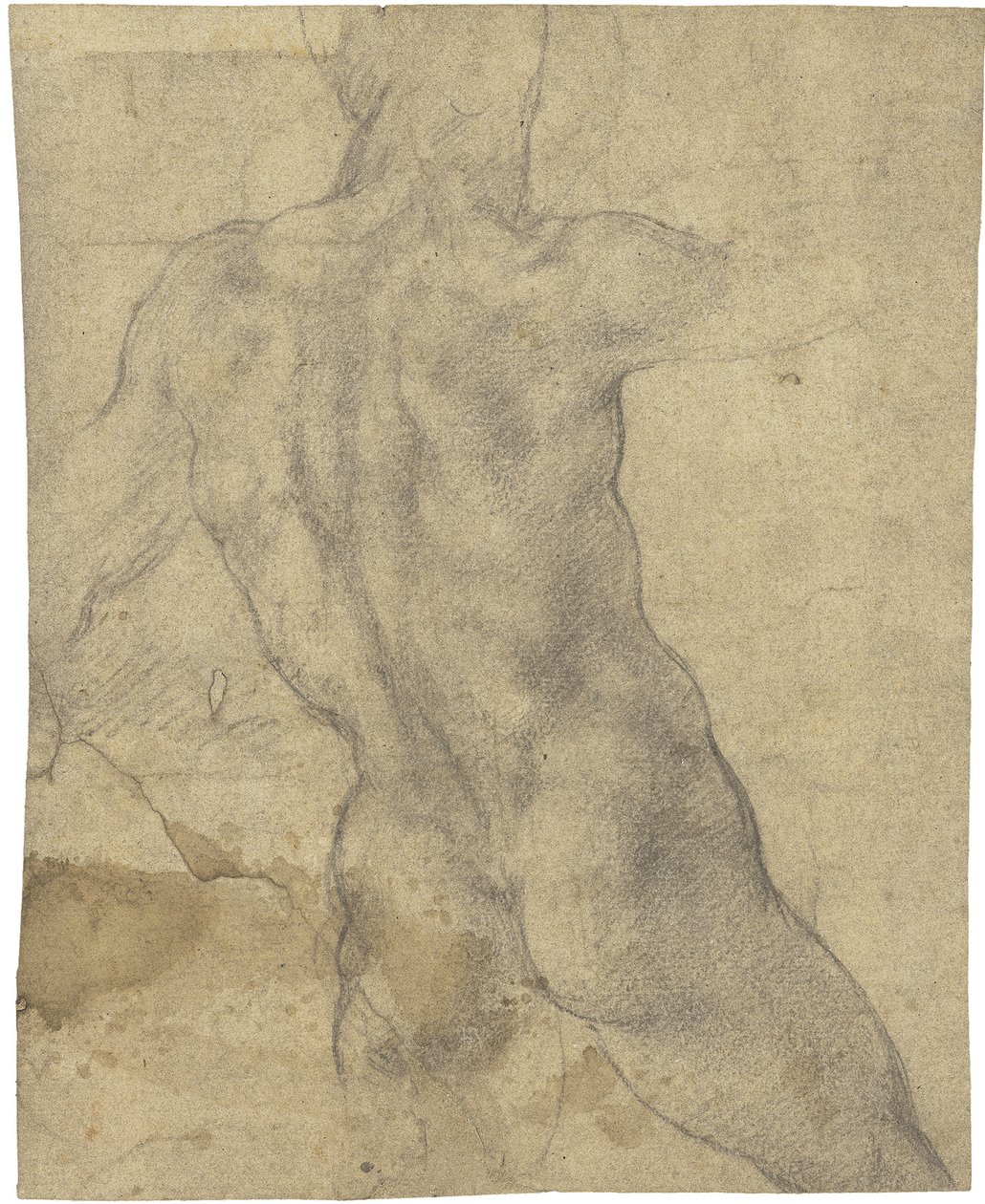Nu masculin - Michelangelo Buonarroti