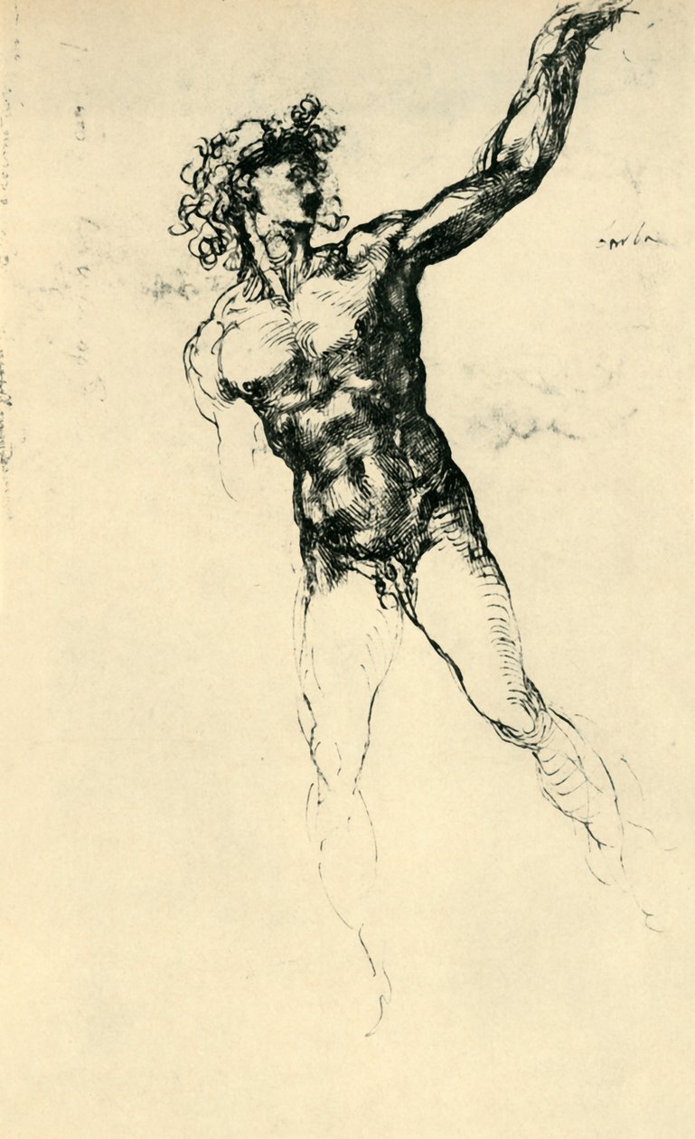 Nu masculin, 1503-1504, 1943 - Michelangelo Buonarroti