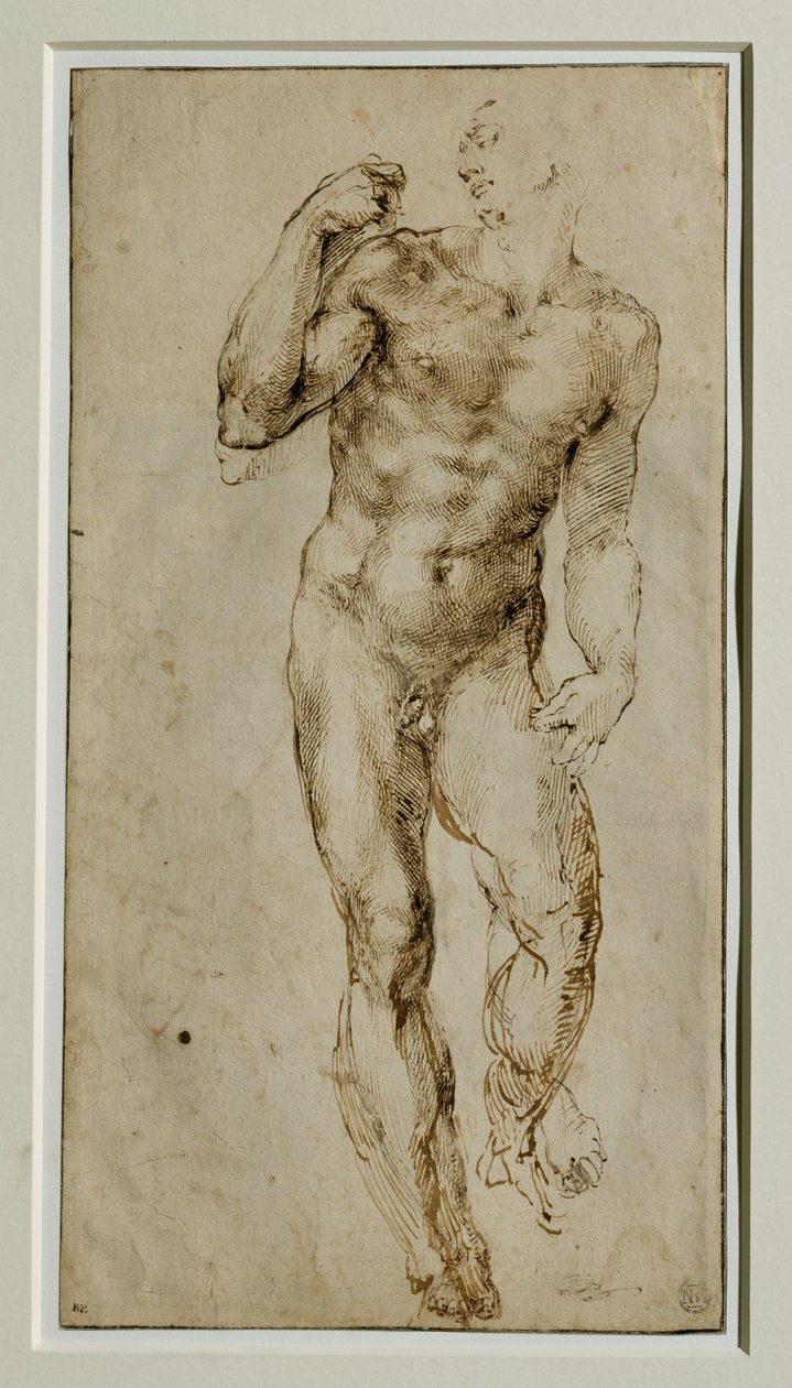 Nu masculin, vue de face, vers 1502-1506 … - Michelangelo Buonarroti