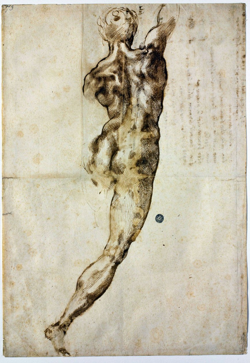 Nu de dos, c. 1504 - Michelangelo Buonarroti