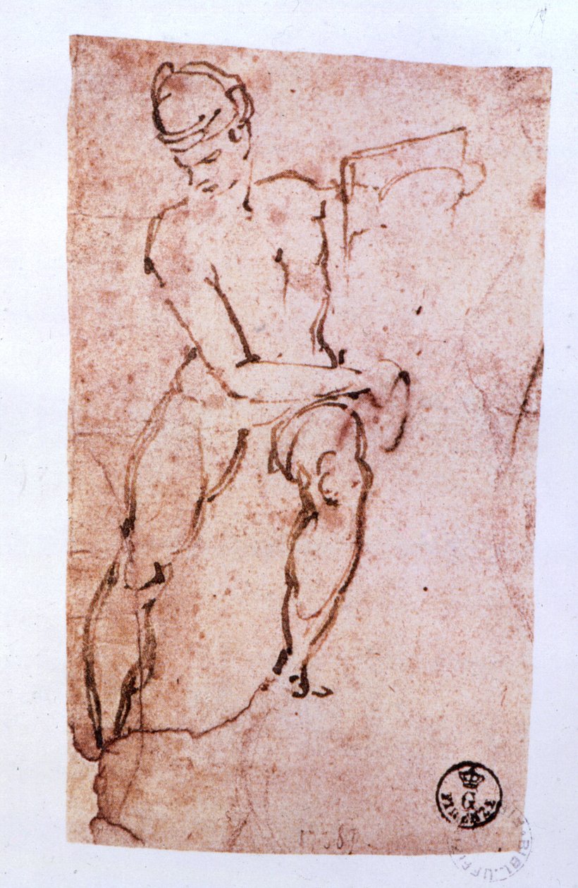 Plafond de la chapelle Sixtine (1508-12) : esquisse d