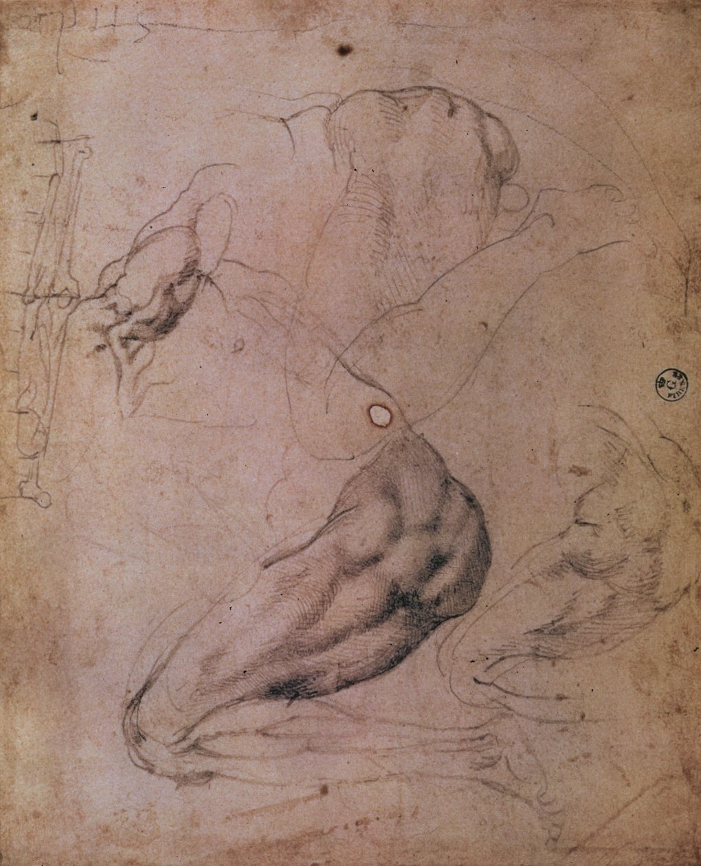 Plafond de la Chapelle Sixtine (1508-12) : croquis de la figure d