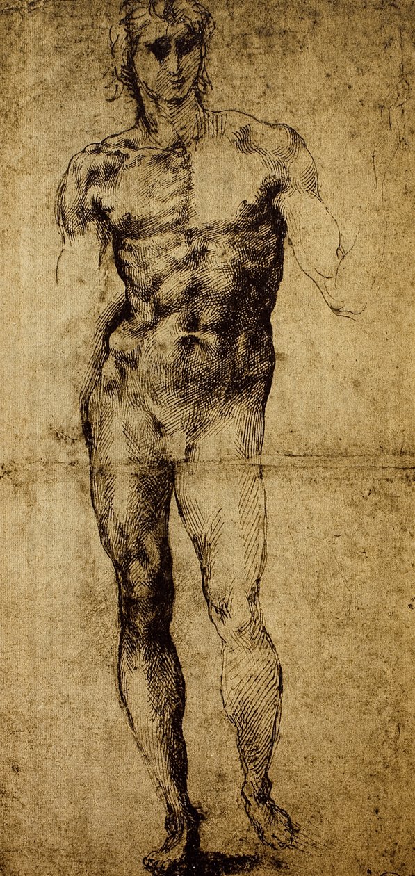 Étude pour un nu masculin - Michelangelo Buonarroti