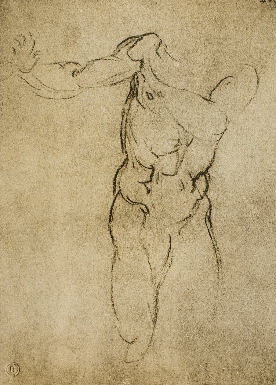 Étude pour un buste masculin - Michelangelo Buonarroti