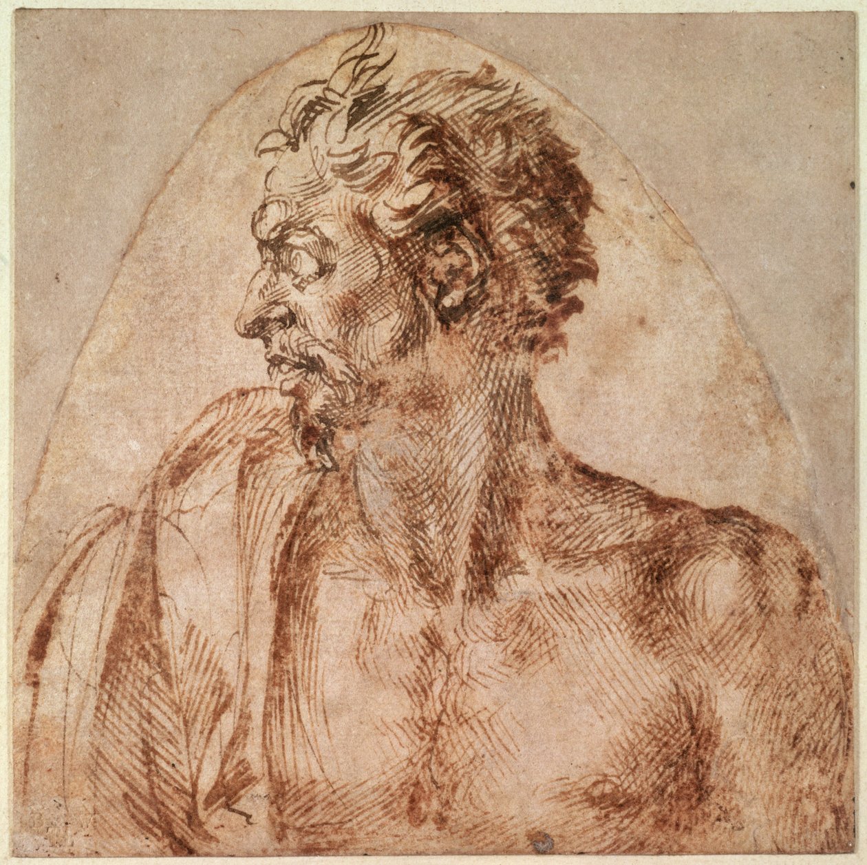 Étude de tête et épaules - Michelangelo Buonarroti