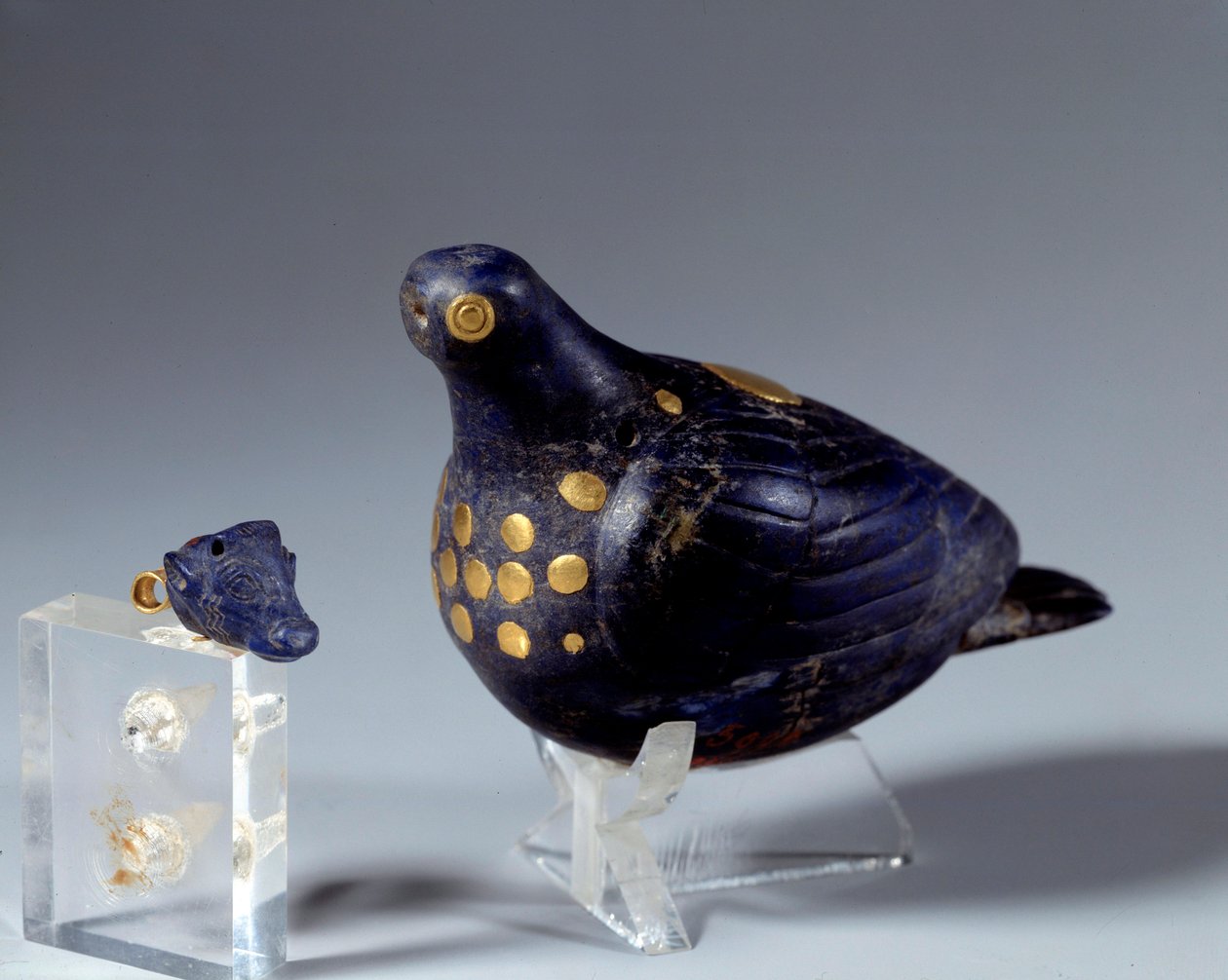 Antiquité orientale : colombe en lapis-lazuli et or. Du site de Suse. Période médio-élamite (Iran). 1200 av. J.-C. - Middle Elamite Period