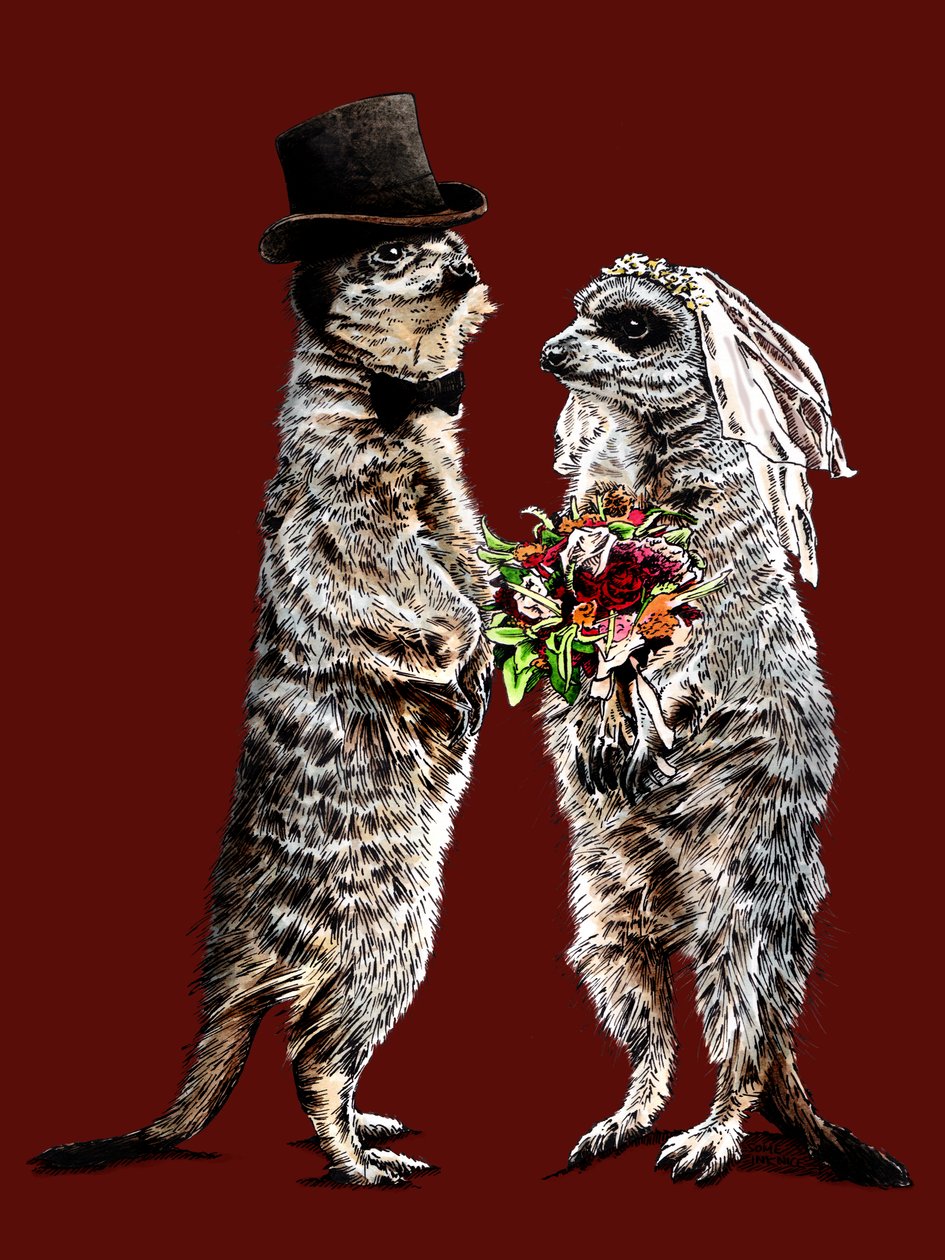 Suricates mariés sur fond rouge oxyde, 2020 - Mike Davis