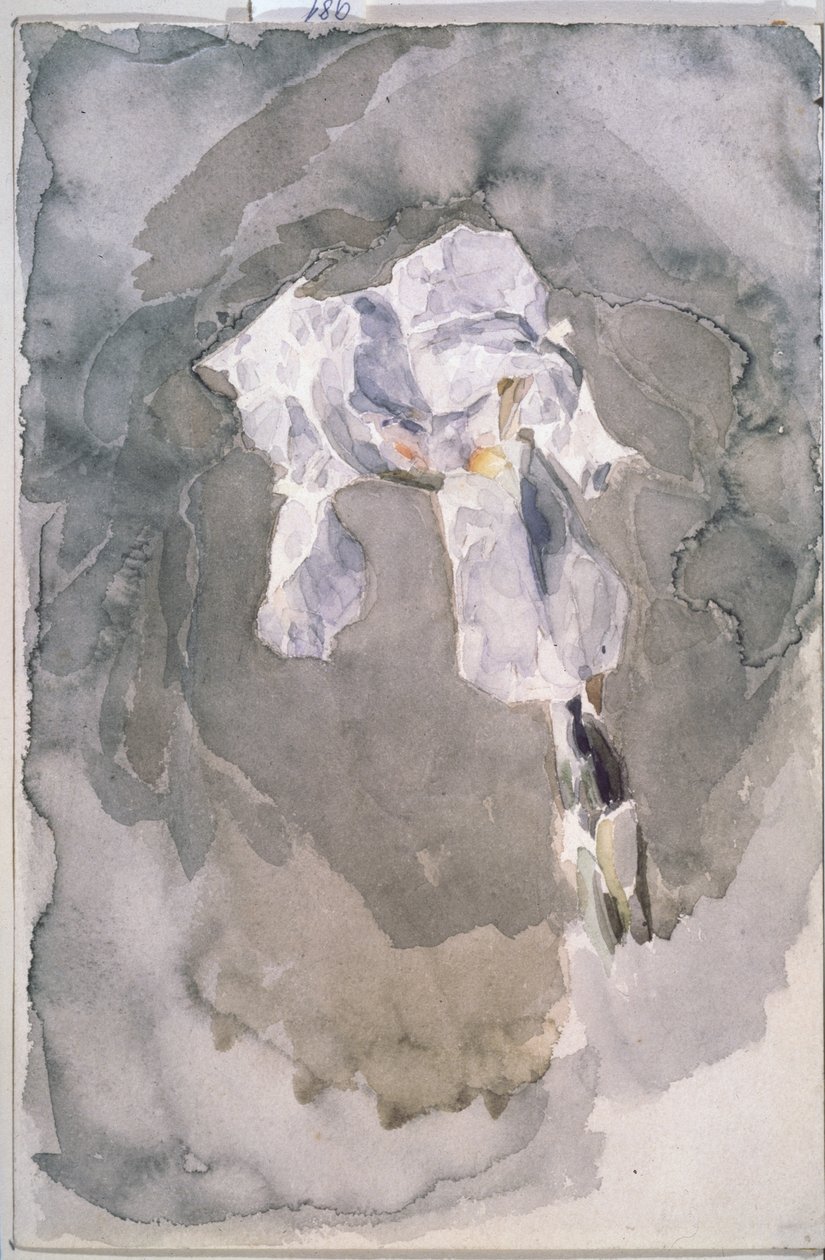 Iris blanc - Mikhail Aleksandrovich Vrubel