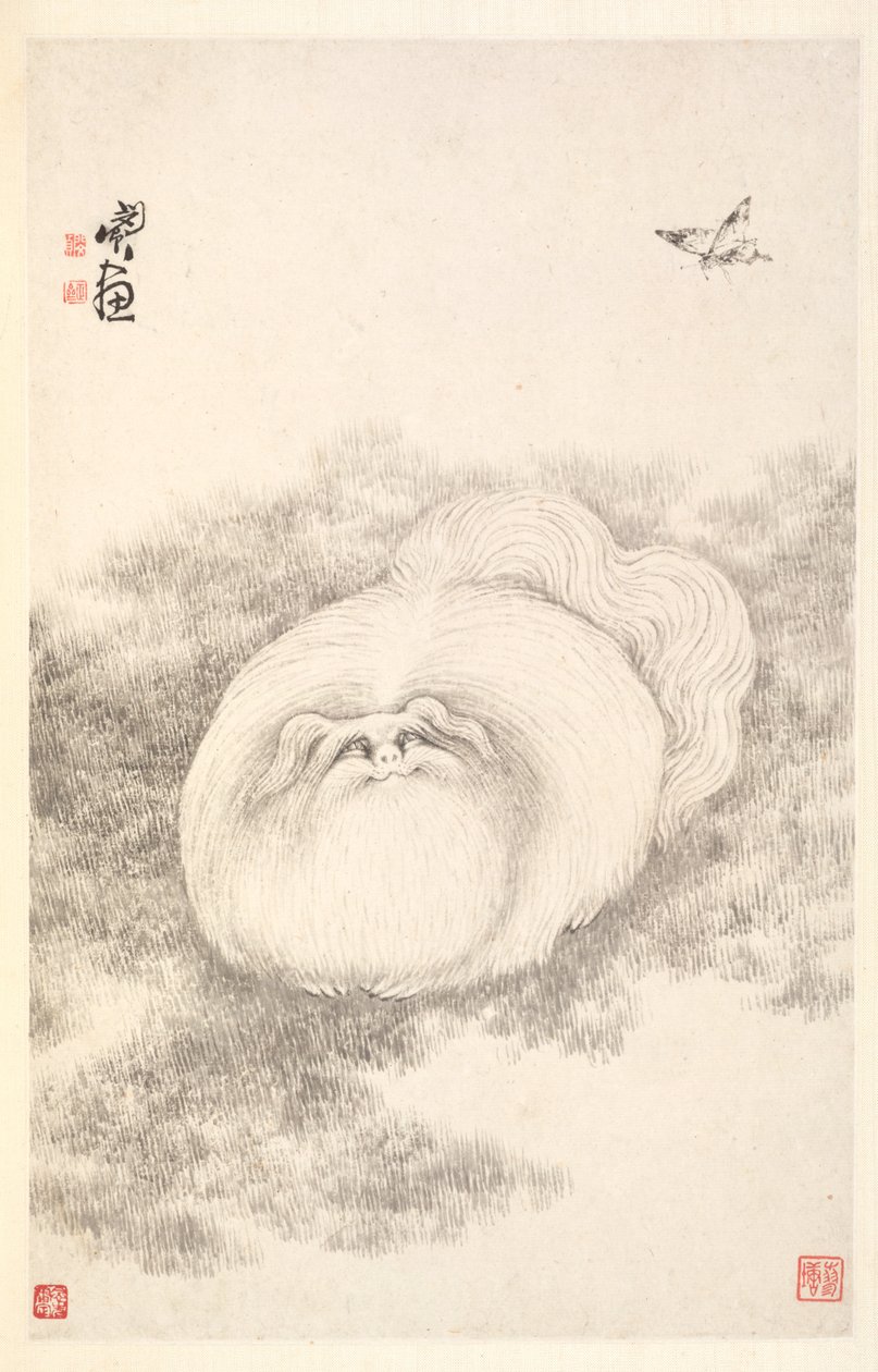 Chat et papillon, 1788 - Min Zhen