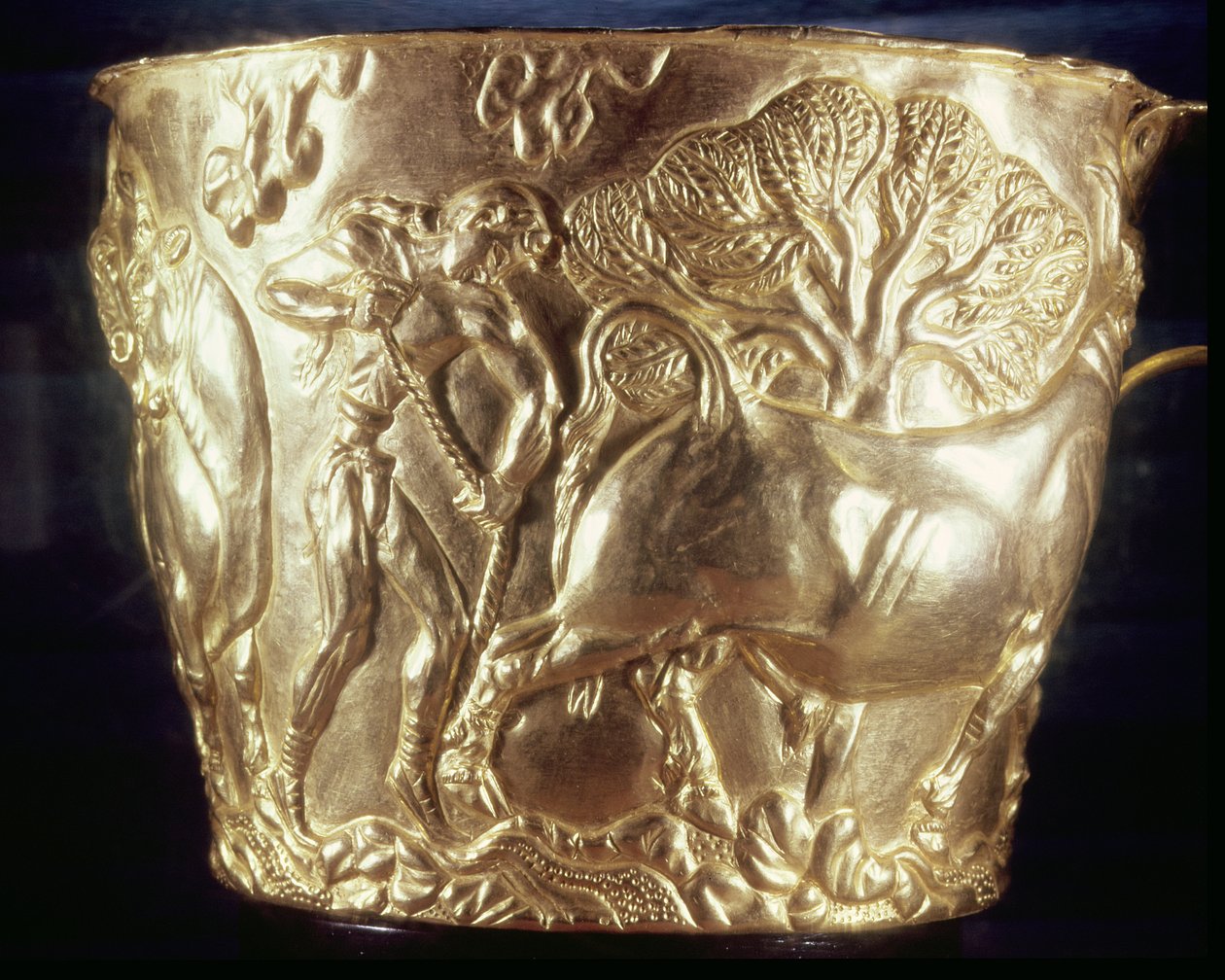 Coupe, représentant un taureau domestique, trouvée dans la tombe royale de Vaphio, Sparte, fin Minoen I, vers 1500 av. J.-C. - Minoan