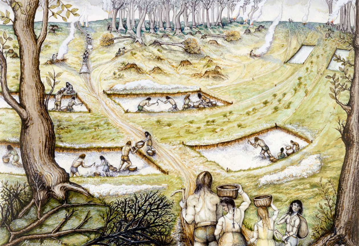 Creusement de fossés de défense - Miranda Schofield