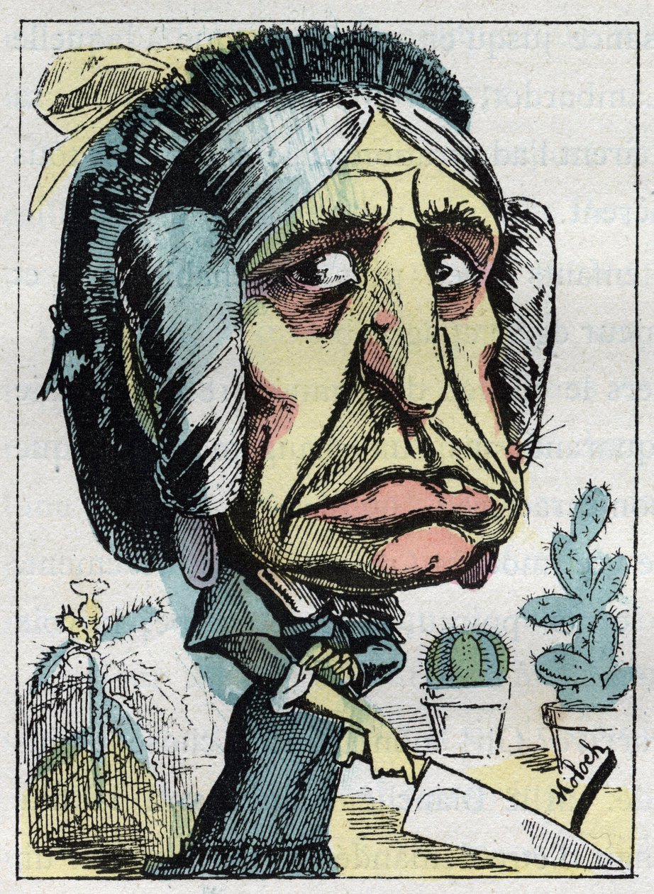 Allégorie de la "belle-mère" dans "Le Trombinoscope" par Touchatout, caricature de B. Moloch de 1882 (1849-1909). Collection privée. - Moloch
