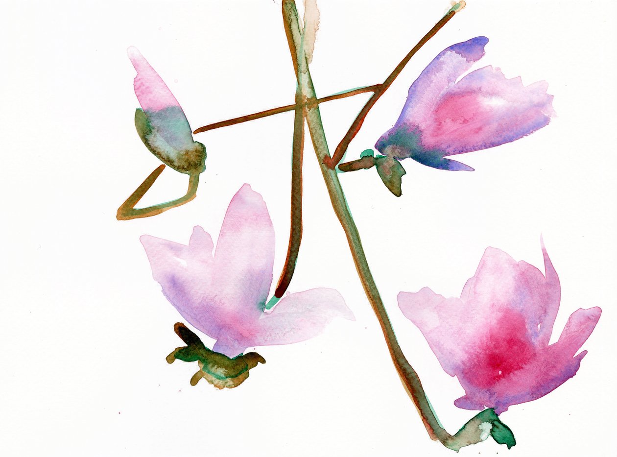 Magnolia 1, 2022 - Monica Perez Vega
