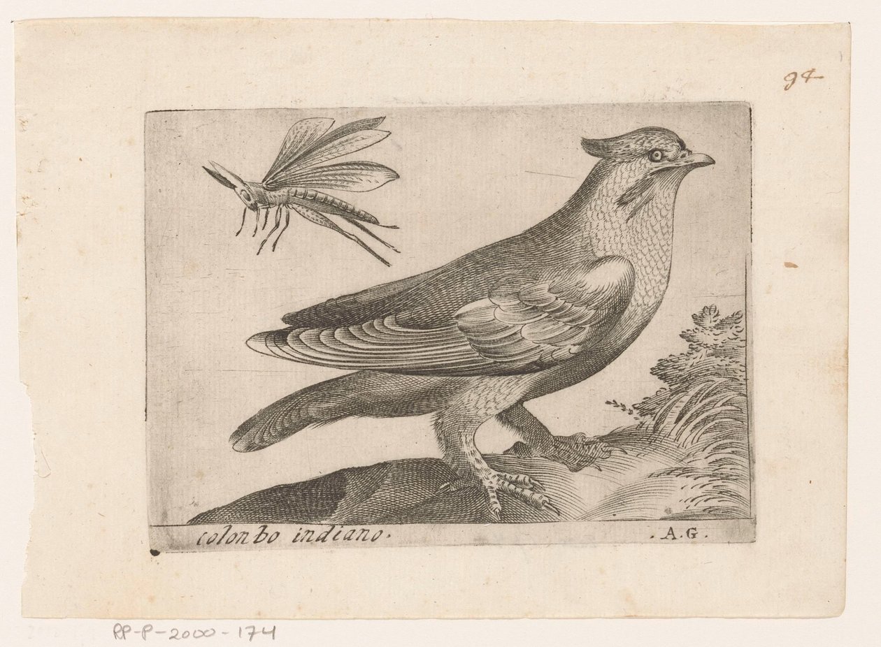 Jaseur boréal (Bombycilla garrulus) (Vogels) - Monogrammist AG