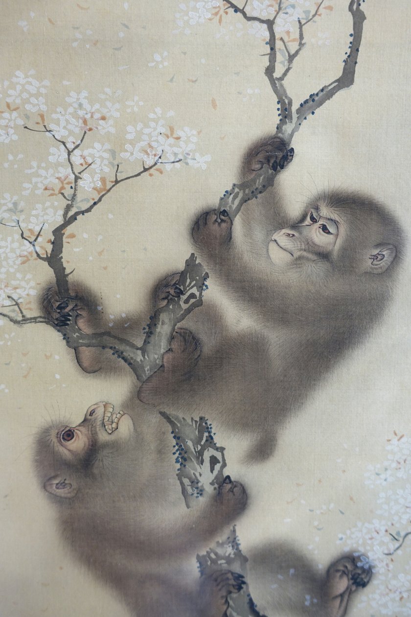 Singes dans un cerisier en fleurs, 1 sur 2, Mori Sosen, Japon, période Edo, début des années 1800, encre et couleur sur soie - Arthur M. Sackler Museum, Harvard University - DSC01127 - Mori Sosen