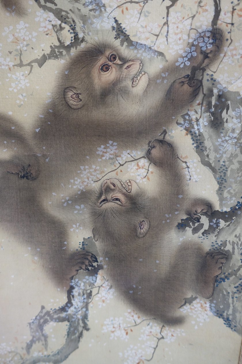 Singes dans un cerisier en fleurs, 2 sur 2, Mori Sosen, Japon, période Edo, début des années 1800, encre et couleur sur soie - Arthur M. Sackler Museum, Harvard University - DSC01128 - Mori Sosen
