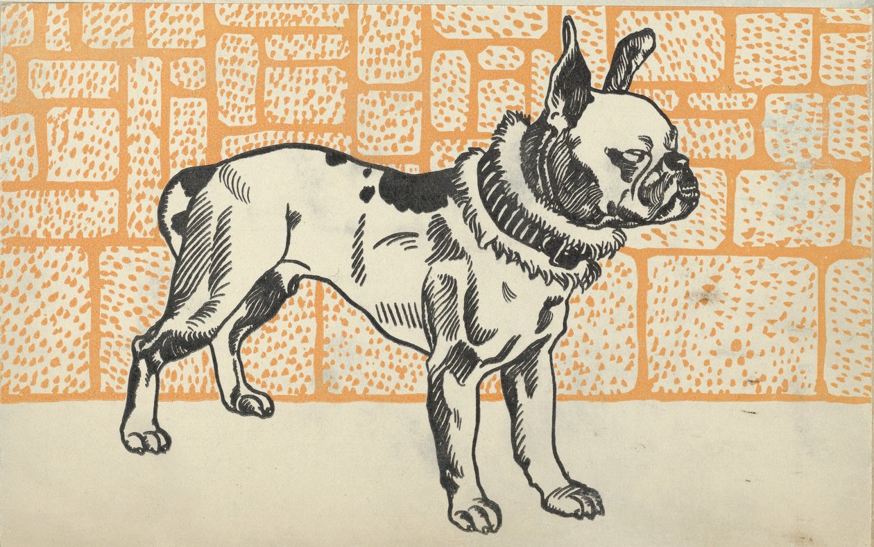 Pitbull Terrier, 1912 - Moritz Jung