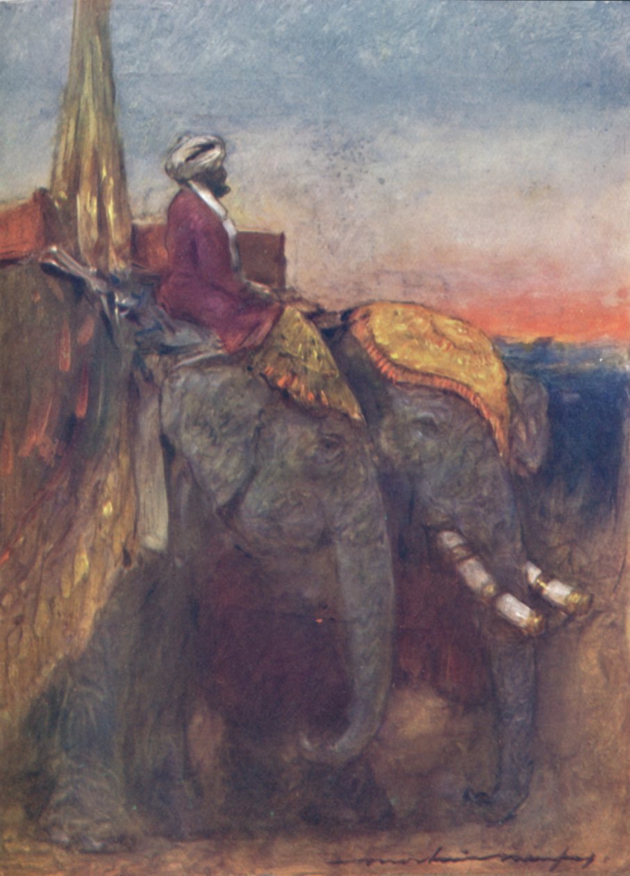 Éléphants de Jaipur, 1903 - Mortimer L Menpes