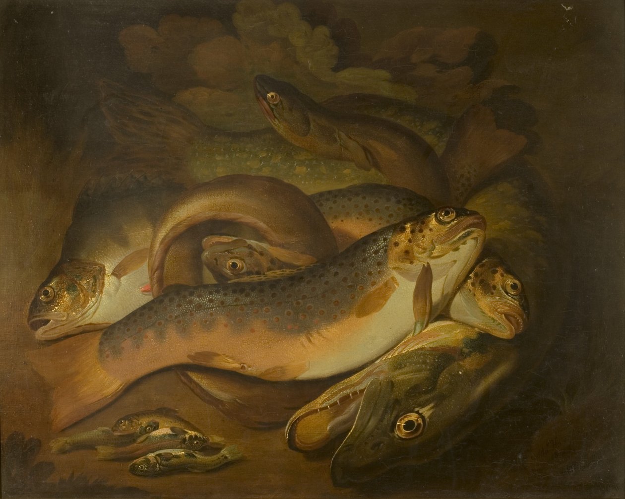 Poissons - Moses Haughton