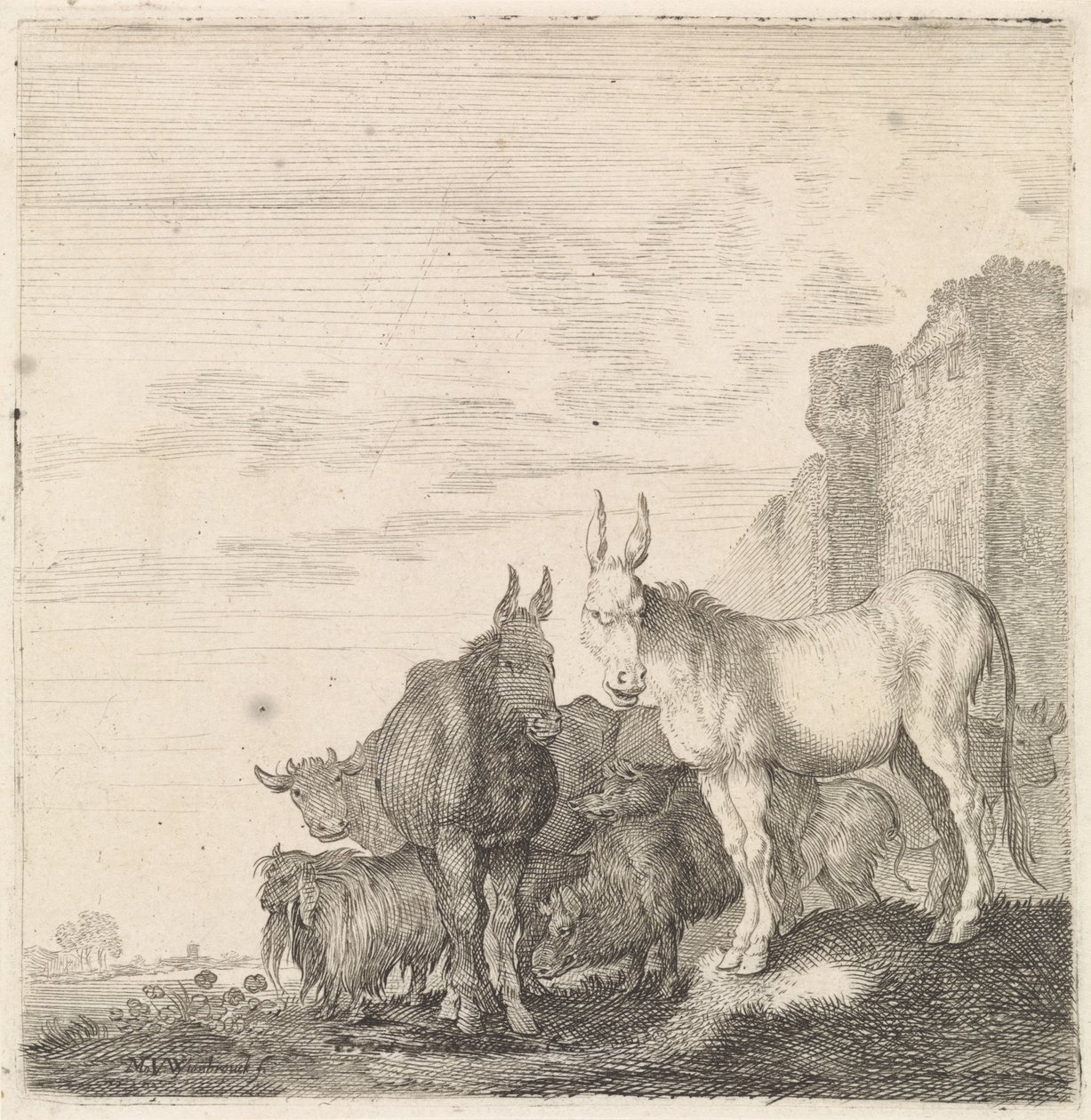 Ânes près d